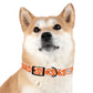 The HUNTER Dog Collar