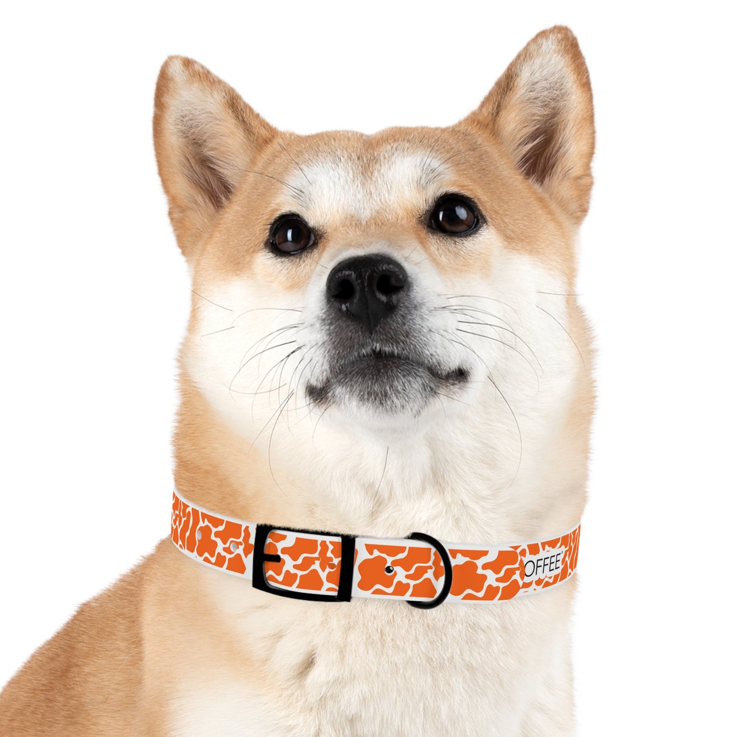 The HUNTER Dog Collar