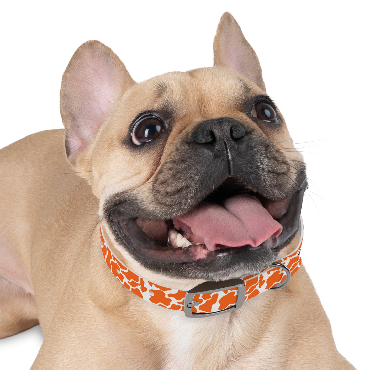 The HUNTER Dog Collar