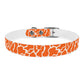 The HUNTER Dog Collar