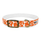 The HUNTER Dog Collar