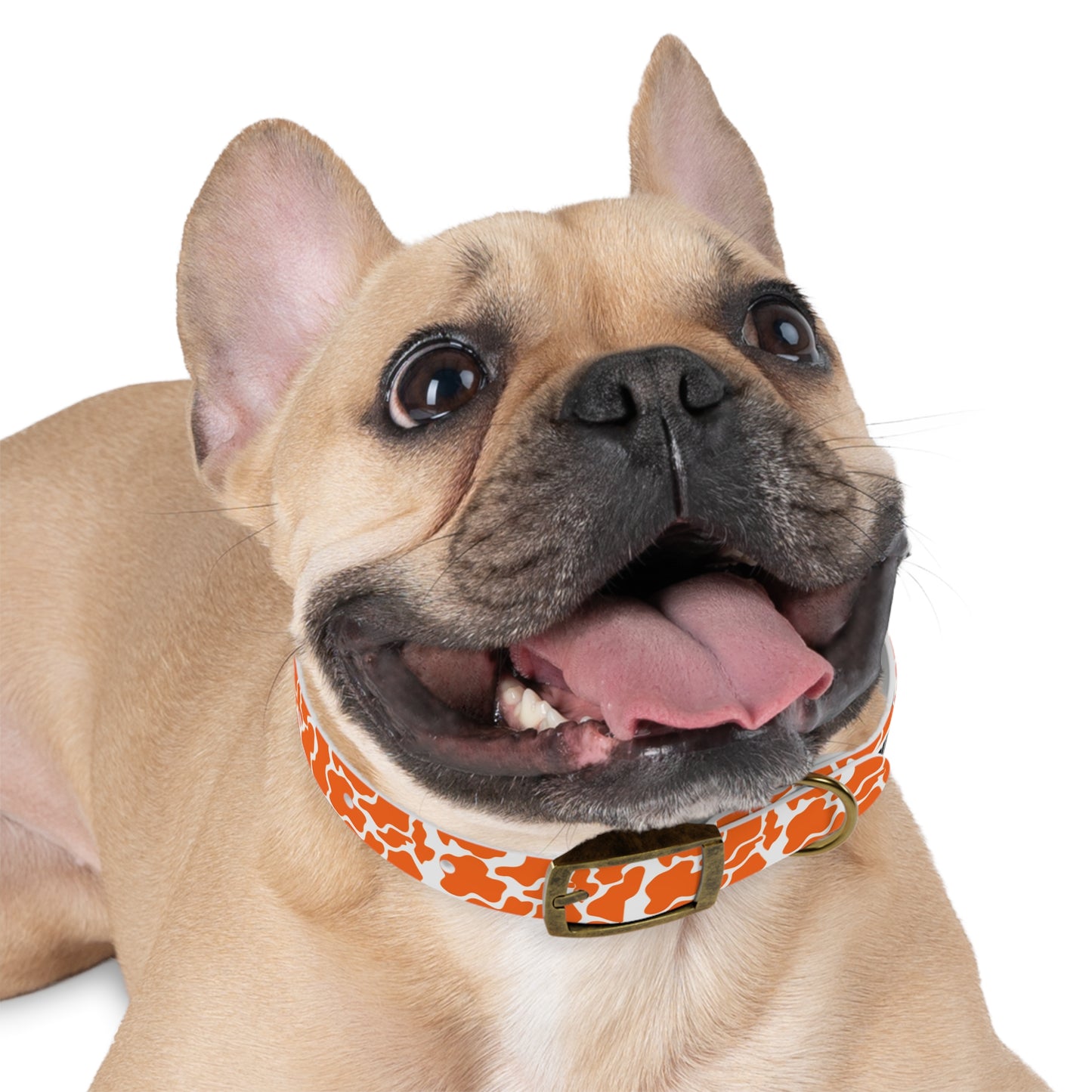 The HUNTER Dog Collar