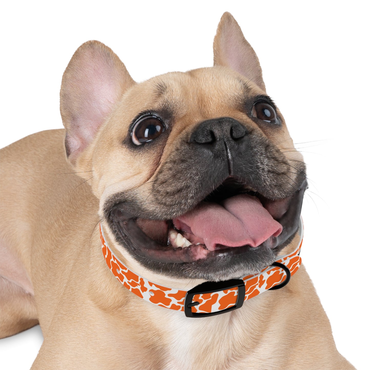 The HUNTER Dog Collar