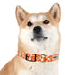 The HUNTER Dog Collar