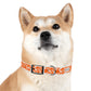 The HUNTER Dog Collar