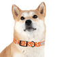 The HUNTER Dog Collar